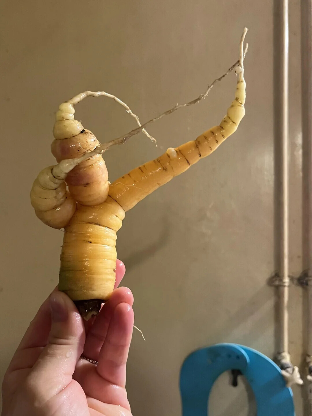 Photos That Only Become Clear With a Closer Look