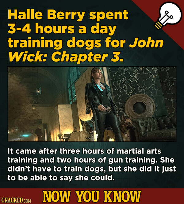 Halle Berry spent 3-4 hours a day training dogs for John Wick: Chapter 3. It came after three hours of martial arts training and two hours of gun training. She didn't have to train dogs, but she did it just to be able to say she could. NOW YOU KNOW CRACKED.COM