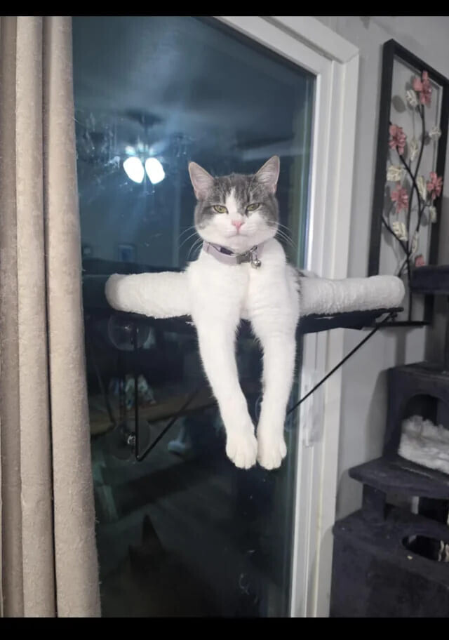 Real World Glitches Happening Right on Camera