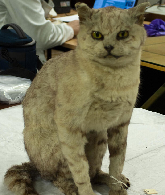 The Worst Christmas Gifts People Ever Received