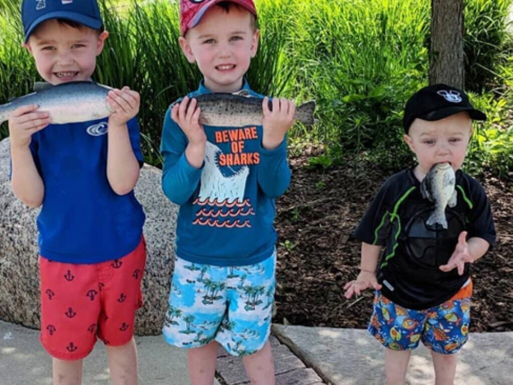 Ding-Dong Photos Of Ding-Dongs