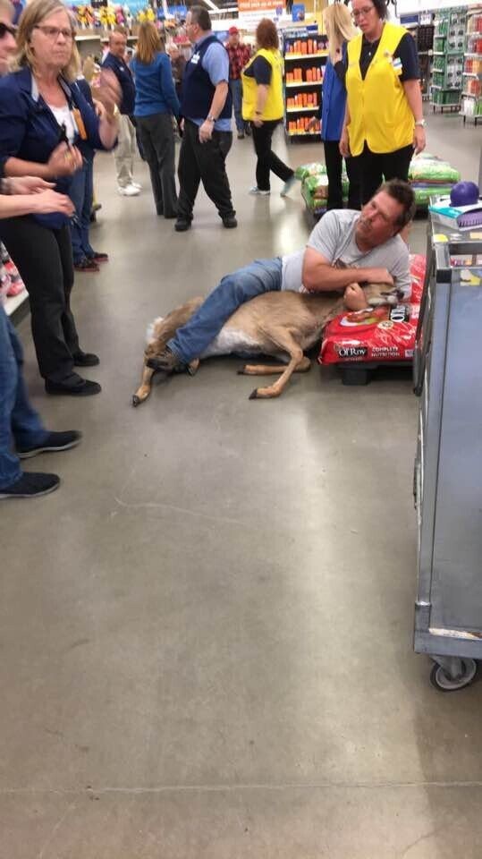 - mit O Of Roy COMPLETE NUTRITION