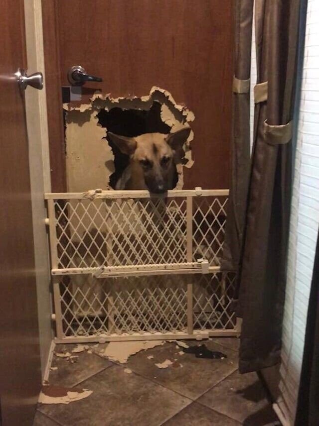 Photos That Show a Series of Unfortunate Events