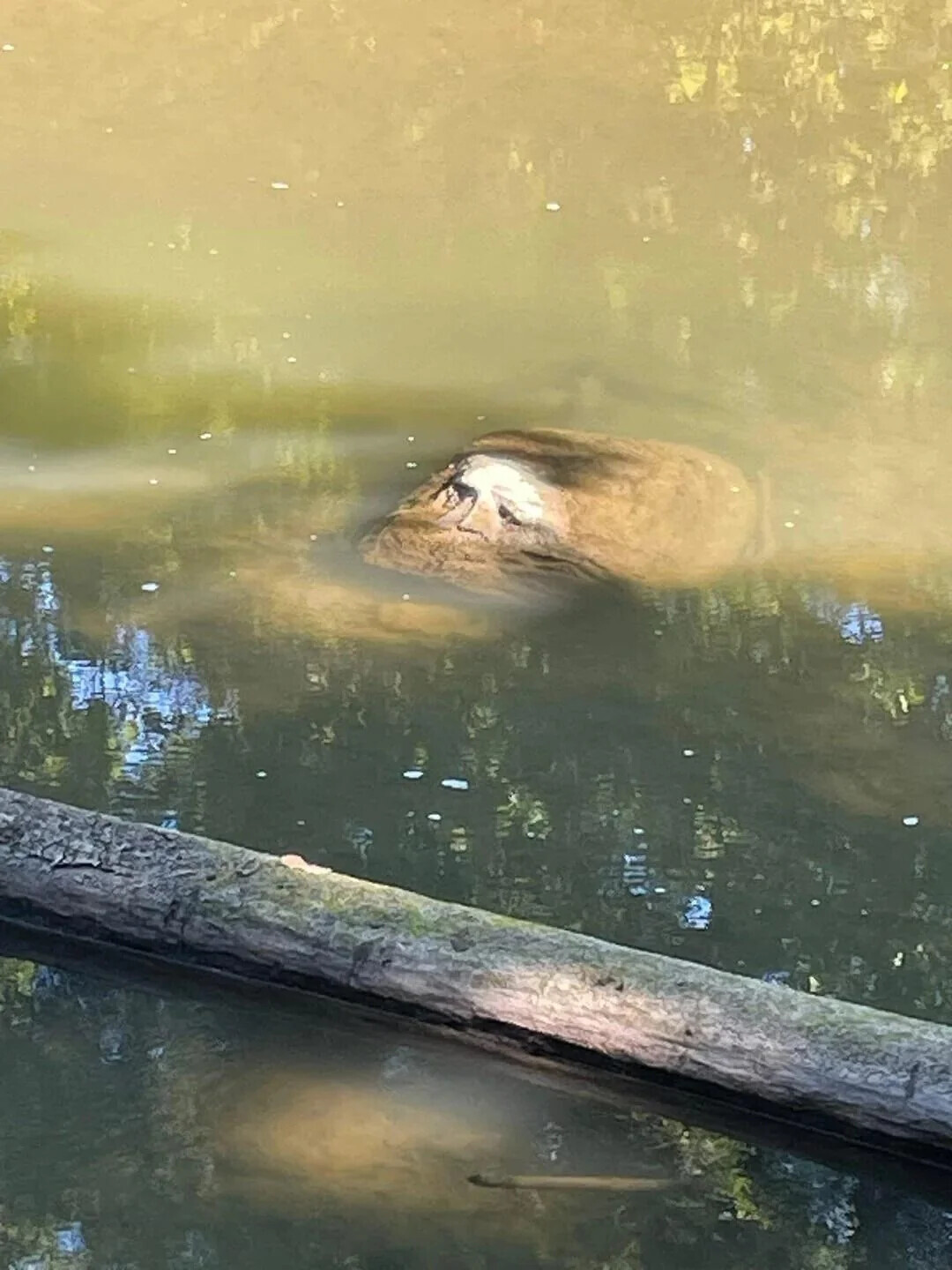 Photos That Only Become Clear With a Closer Look