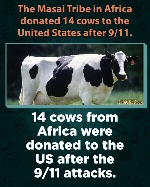The Masai Tribe in Africa donated 14 cows to the United States after 9/11. CRACKED.COM 14 COWS from Africa were donated to the US after the 9/11 attacks.