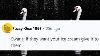 31 Things People Have Learned Not to Mess Around With