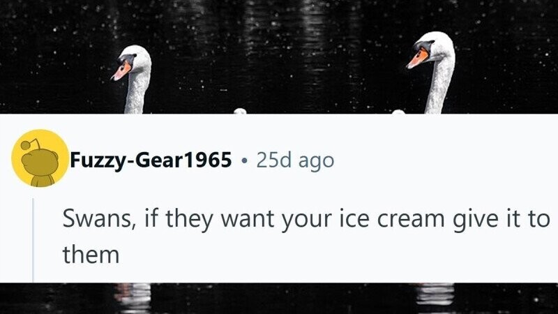 31 Things People Have Learned Not to Mess Around With