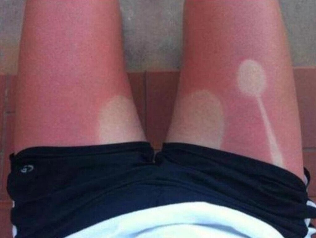 Ding-Dong Photos Of Ding-Dongs