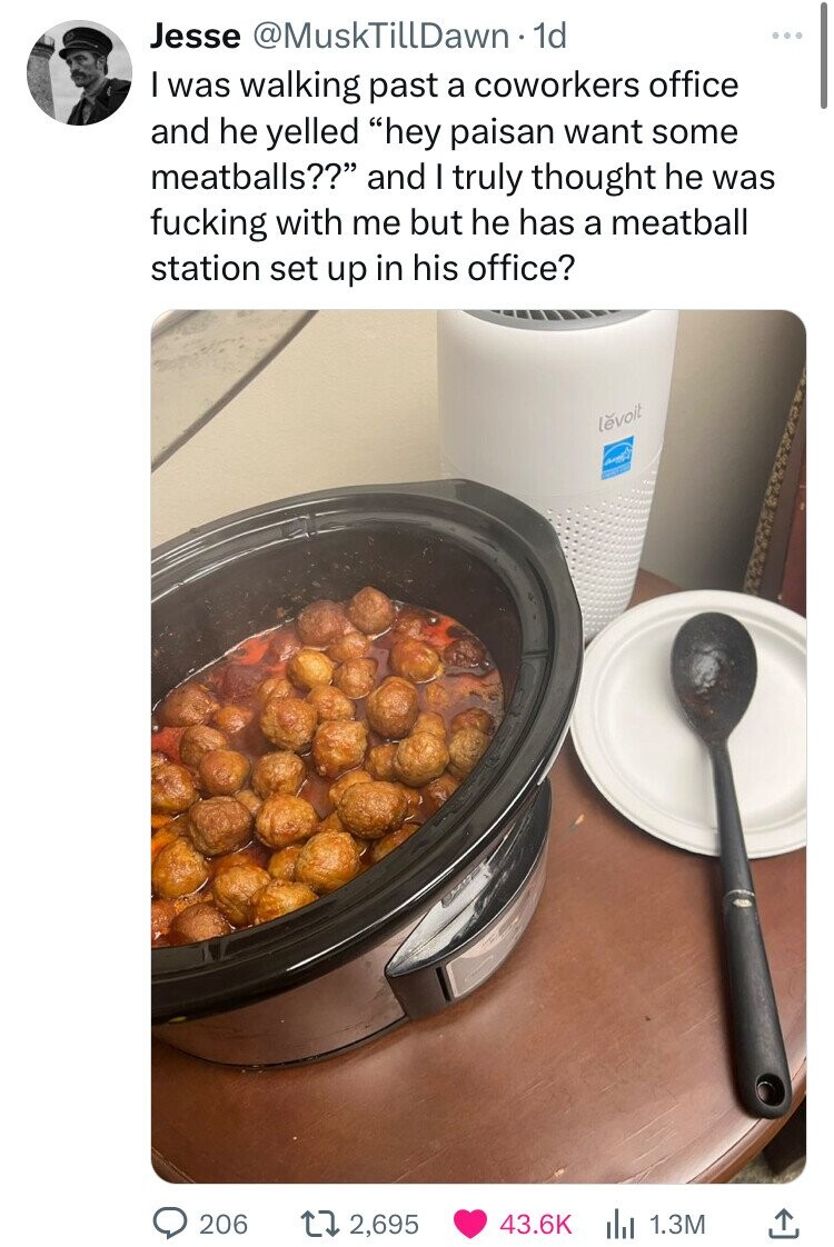 Jesse @MuskTillDawn 1d I was walking past a coworkers office and he yelled hey paisan want some meatballs?? and I truly thought he was fucking with me but he has a meatball station set up in his office? lēvoit 206 2,695 43.6K 1.3M