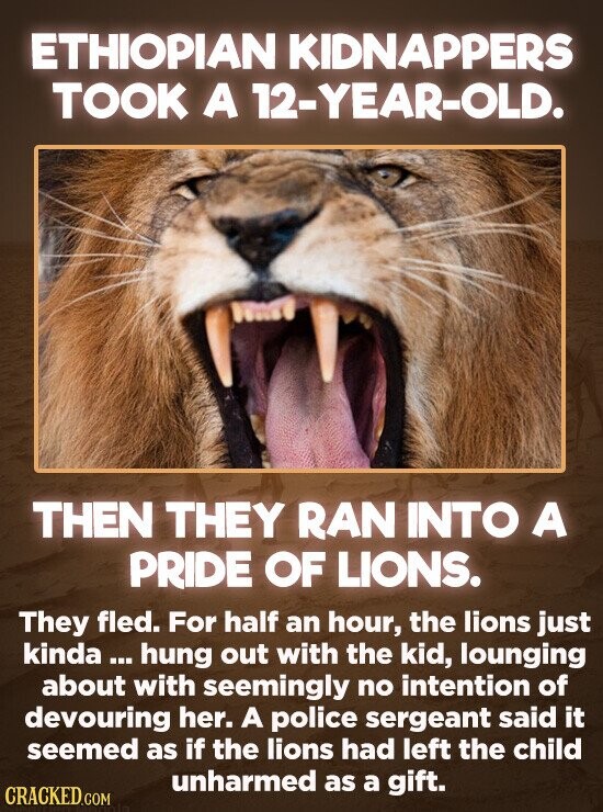 ETHIOPIAN KIDNAPPERS TOOK A 12-YEAR-OLD. THEN THEY RAN INTO A PRIDE OF LIONS. They fled. For half an hour, the lions just kinda ... hung out with the kid, lounging about with seemingly no intention of devouring her. A police sergeant said it seemed as if the lions had left the child unharmed as a gift. CRACKED.COM