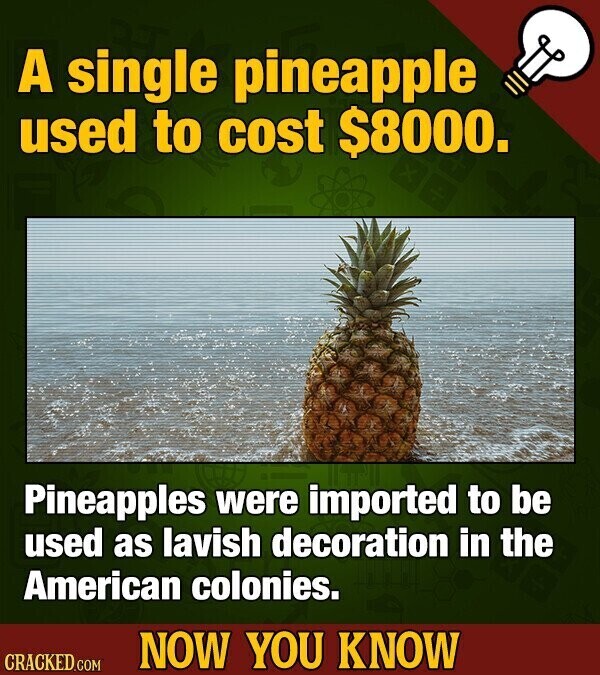 A single pineapple used to cost $8000. Pineapples were imported to be used as lavish decoration in the American colonies. NOW YOU KNOW CRACKED.COM