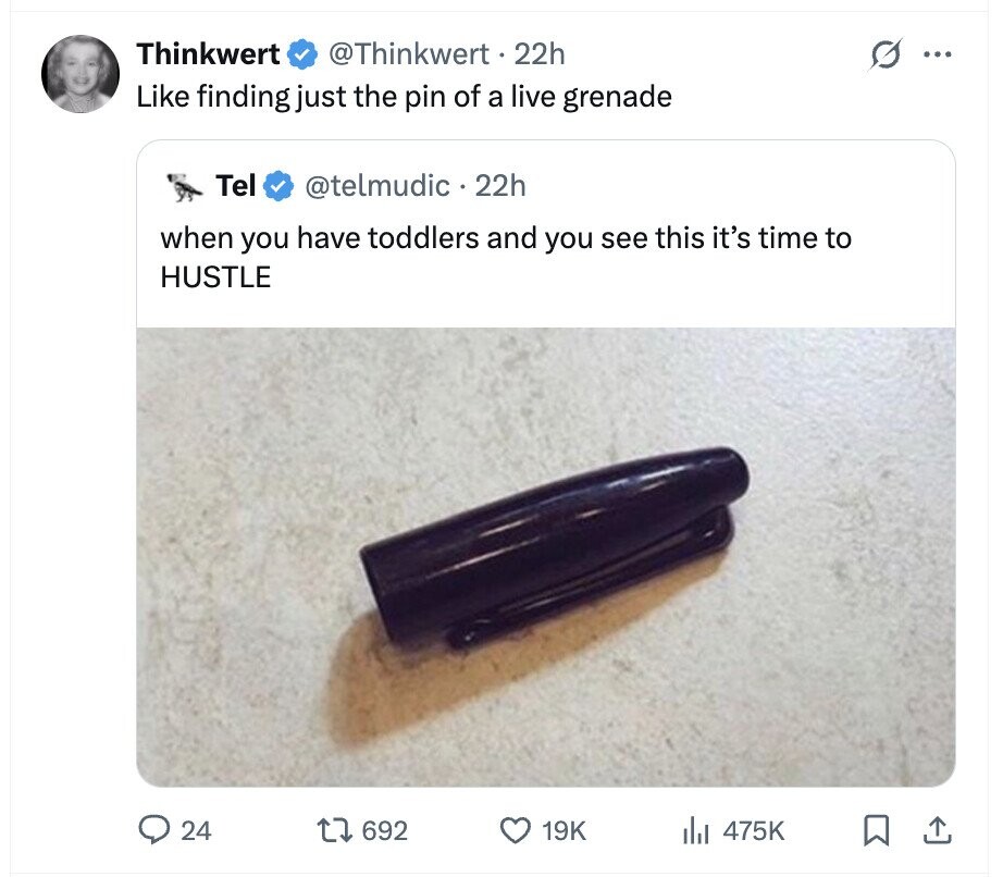 Thinkwert @Thinkwert 22h ... Like finding just the pin of a live grenade Tel @telmudic 22h when you have toddlers and you see this it's time to HUSTLE 24 692 19K 475K