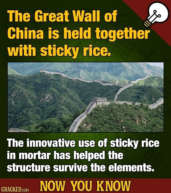 The Great Wall of China is held together with sticky rice. The innovative use of sticky rice in mortar has helped the structure survive the elements. NOW YOU KNOW CRACKED.COM