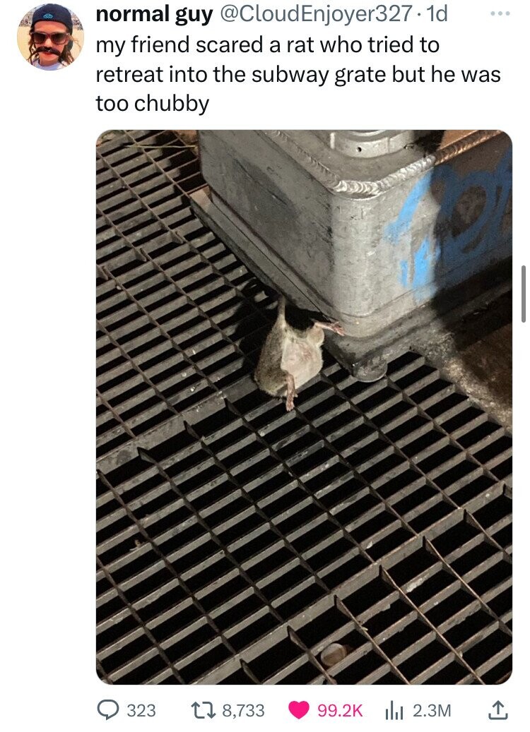 normal guy @CloudEnjoyer327.1d ... my friend scared a rat who tried to retreat into the subway grate but he was too chubby 323 8,733 99.2K del 2.3M
