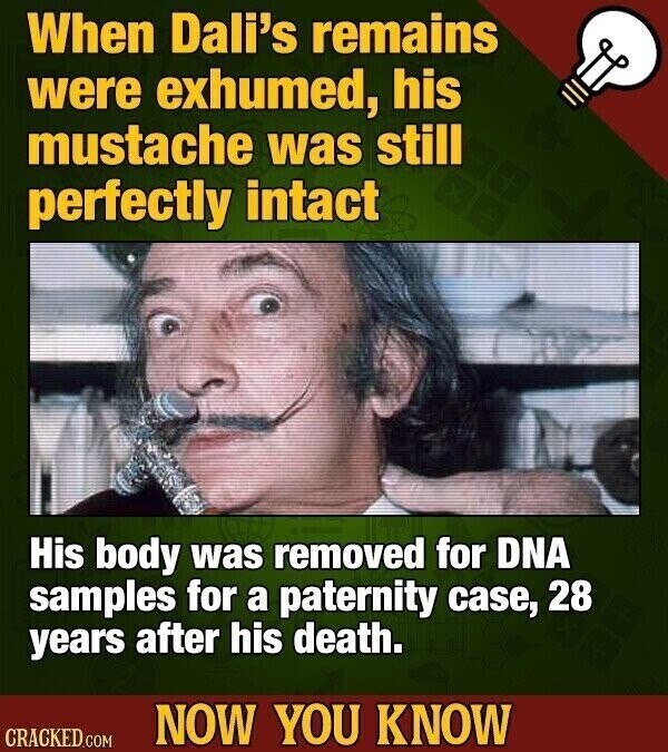 When Dali's remains were exhumed, his mustache was still perfectly intact His body was removed for DNA samples for a paternity case, 28 years after his death. NOW YOU KNOW CRACKED.COM