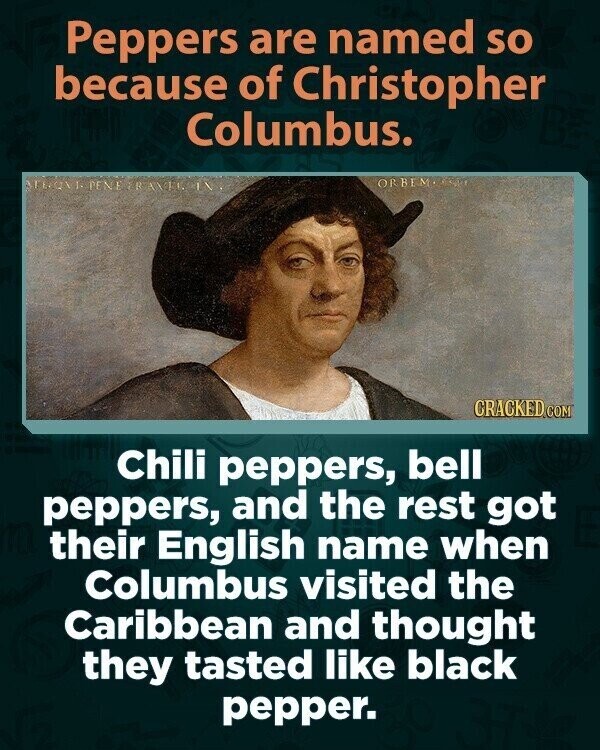 Peppers are named so because of Christopher Columbus. ORBEM.COM PENE ER AVEC IN CRACKED COM Chili peppers, bell peppers, and the rest got their English name when Columbus visited the Caribbean and thought they tasted like black pepper.