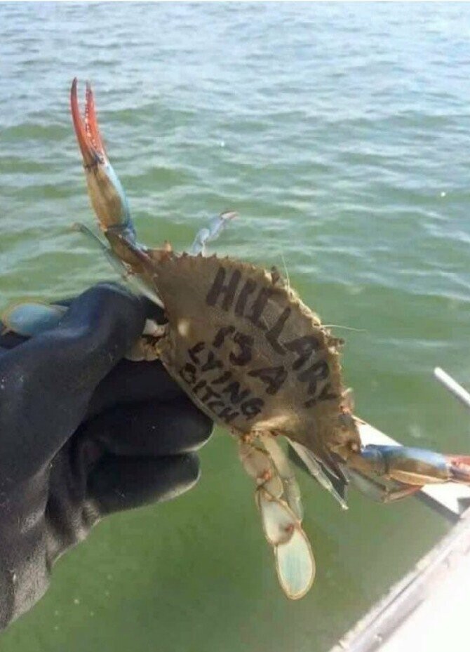 Photos Where Florida Men Lived Up to the Reputation