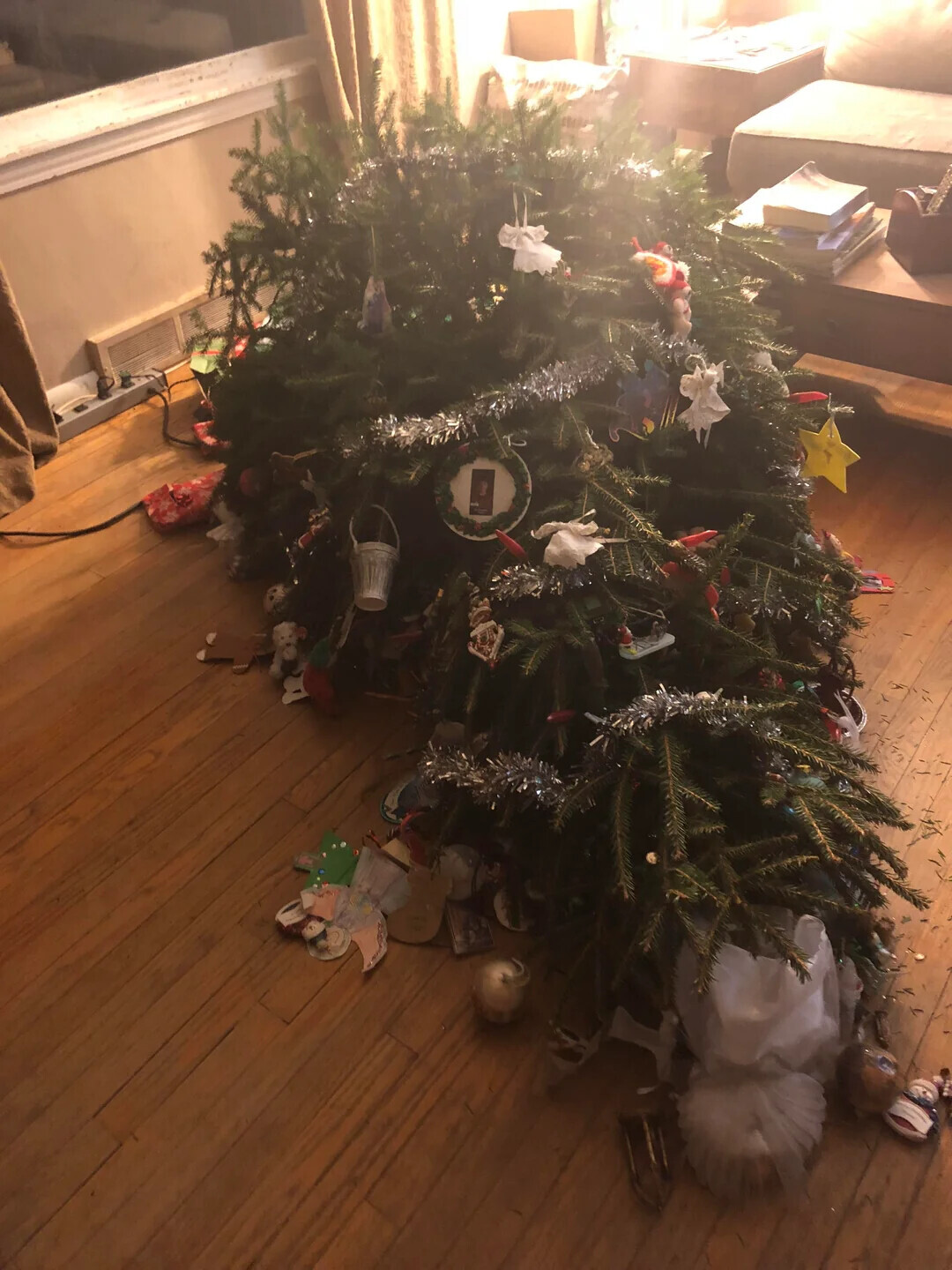 Christmas Tree Error Photos Where Christmas Doesn't Look How You'd Think | Cracked.com