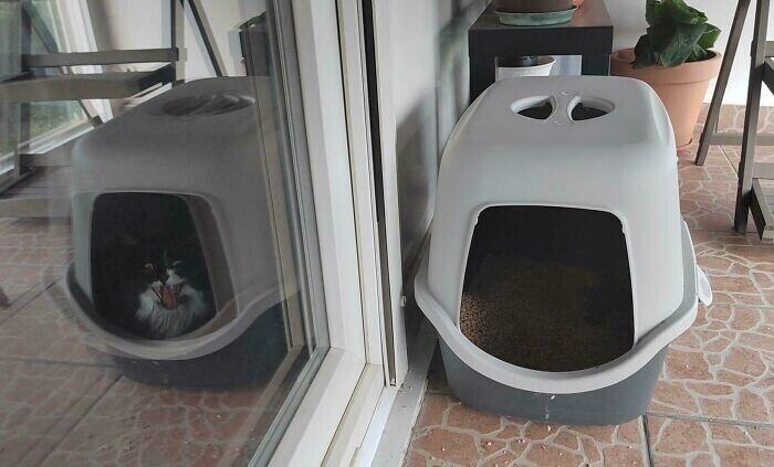 18 Photos That Look Totally Normal Until You Zoom In | Cracked.com