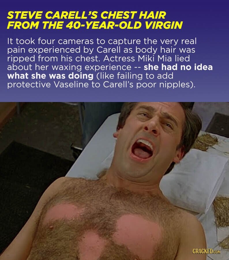 STEVE CARELL'S CHEST HAIR FROM THE 40-YEAR-OLD VIRGIN It took four cameras to capture the very real pain experienced by Carell as body hair was ripped from his chest. Actress Miki Mia lied about her waxing experience - she had no idea what she was doing (like failing to add protective Vaseline to Carell's poor nipples). CRACKED.COM