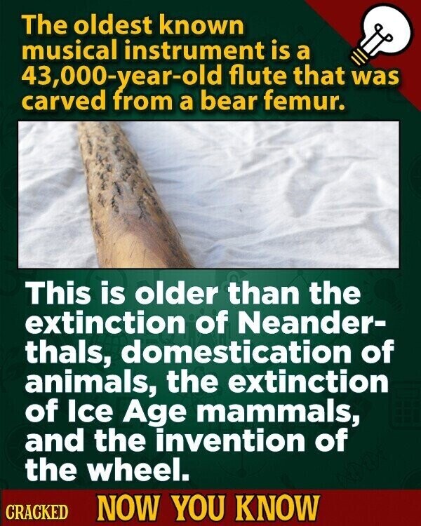 The oldest known musical instrument is a 43,000-year-old flute that was carved from a bear femur. This is older than the extinction of Neander- thals, domestication of animals, the extinction of Ice Age mammals, and the invention of the wheel. CRACKED NOW YOU KNOW