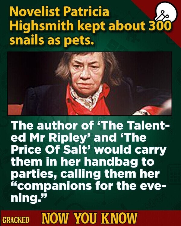 Novelist Patricia Highsmith kept about 300 snails as pets. The author of 'The Talent- ed Mr Ripley' and 'The Price Of Salt' would carry them in her handbag to parties, calling them her companions for the eve- ning. CRACKED NOW YOU KNOW