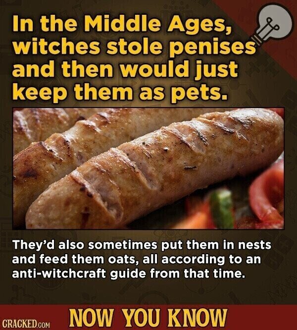 In the Middle Ages, witches stole penises and then would just keep them as pets. They'd also sometimes put them in nests and feed them oats, all according to an anti-witchcraft guide from that time. NOW YOU KNOW CRACKED.COM