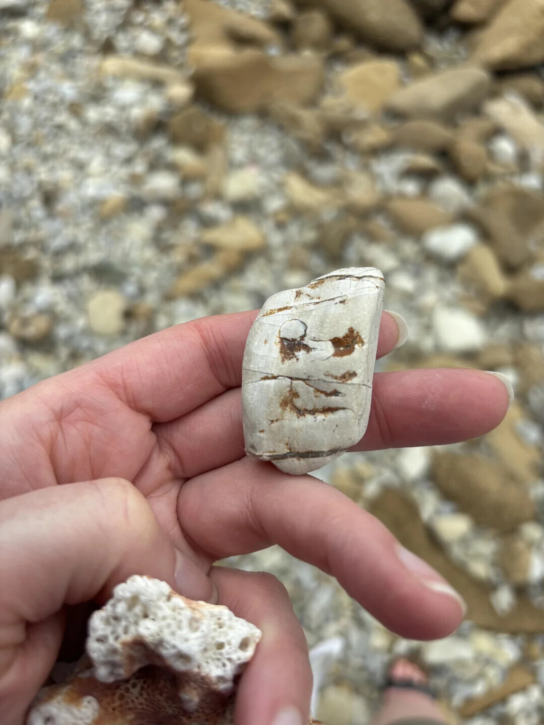 Photos That Only Become Clear With a Closer Look