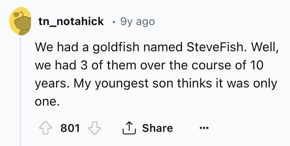tn_notahick . 9y ago We had a goldfish named SteveFish. Well, we had 3 of them over the course of 10 years. My youngest son thinks it was only one. 801 Share ...