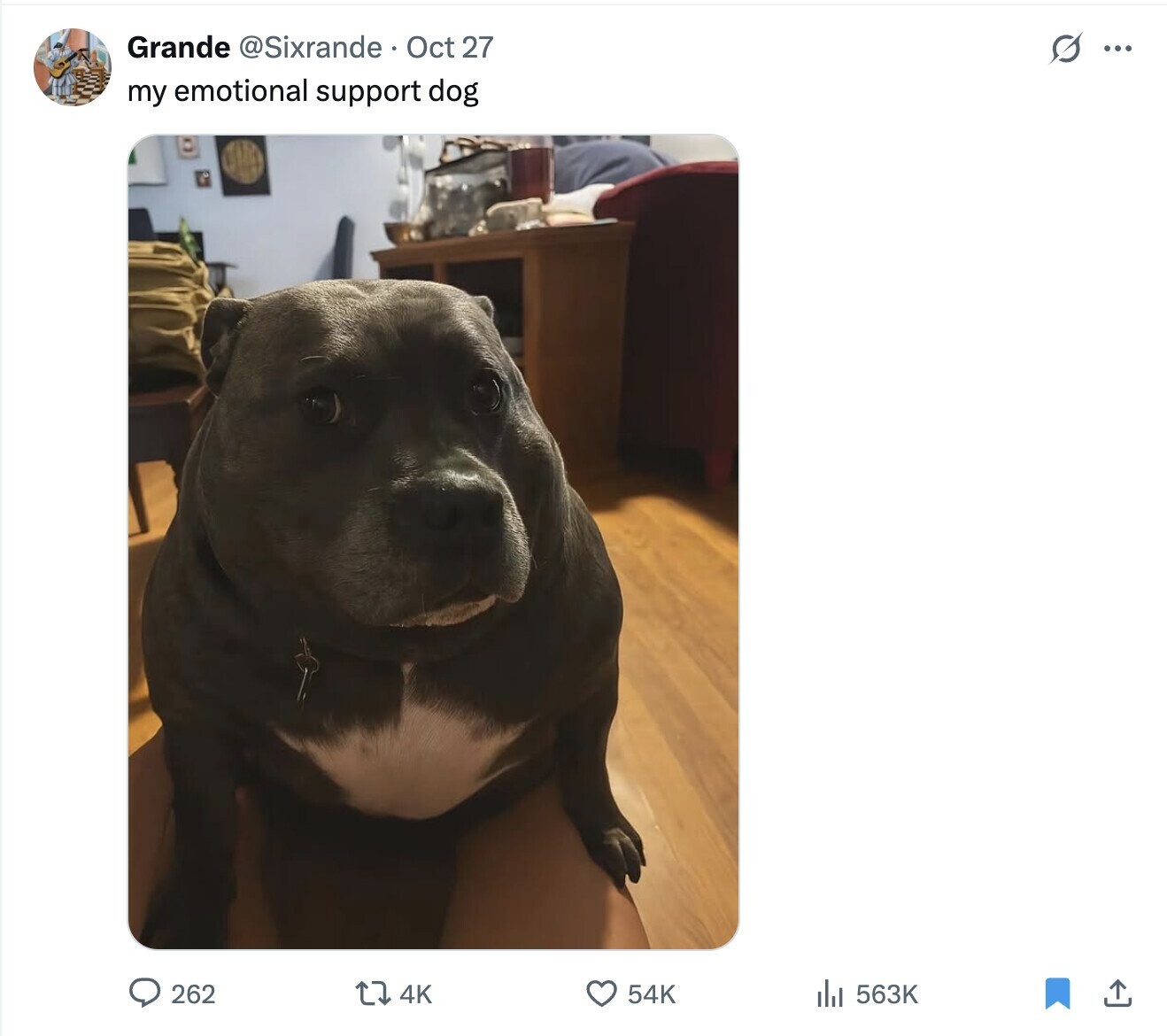 Grande @Sixrande Oct 27 G ... my emotional support dog 262 4K 54K del 563K