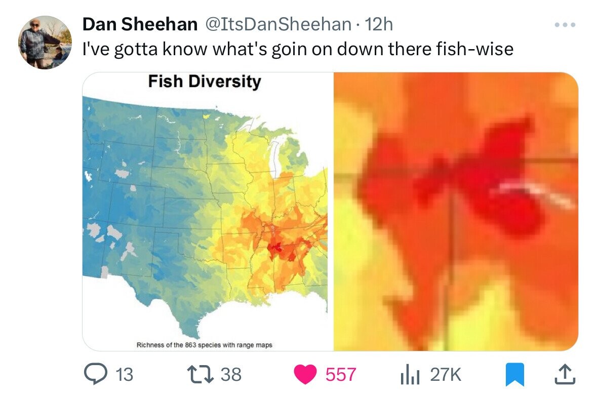 Dan Sheehan @ItsDanSheehan 12h ... I've gotta know what's goin on down there fish-wise Fish Diversity Richness of the 863 species with range maps 13 38 557 del 27K