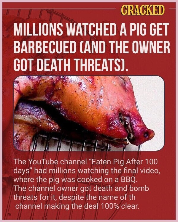 CRACKED MILLIONS WATCHED A PIG GET BARBECUED (AND THE OWNER GOT DEATH THREATS). The YouTube channel Eaten Pig After 100 days had millions watching the final video, where the pig was cooked on a BBQ. The channel owner got death and bomb threats for it, despite the name of th channel making the deal 100% clear.