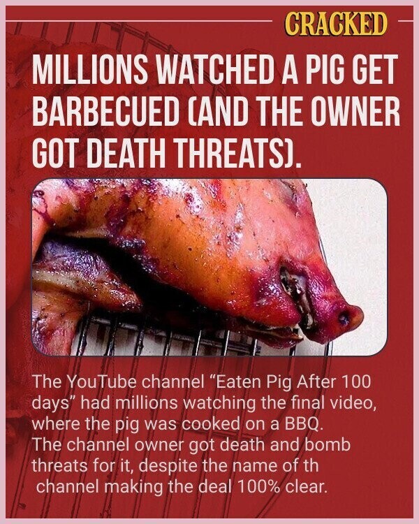 CRACKED MILLIONS WATCHED A PIG GET BARBECUED (AND THE OWNER GOT DEATH THREATS). The YouTube channel Eaten Pig After 100 days had millions watching the final video, where the pig was cooked on a BBQ. The channel owner got death and bomb threats for it, despite the name of th channel making the deal 100% clear.