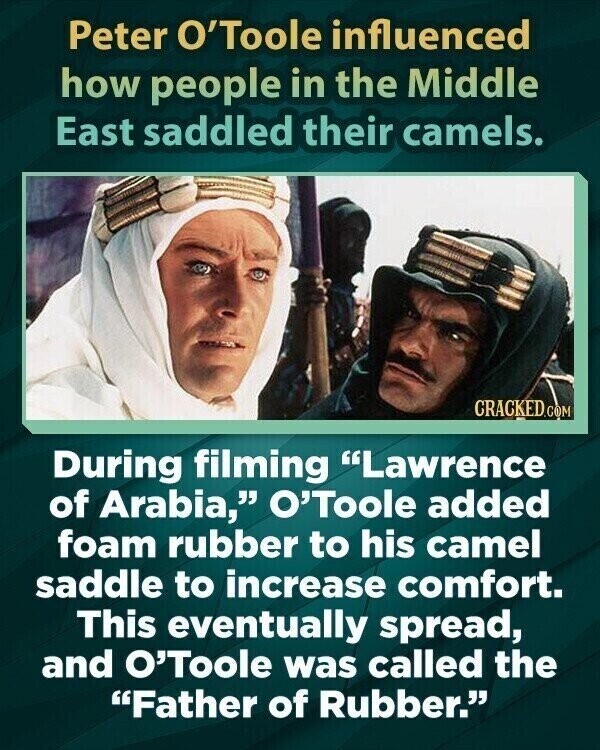 Peter O'Toole influenced how people in the Middle East saddled their camels. CRACKED.COM During filming Lawrence of Arabia, O'Toole added foam rubber to his camel saddle to increase comfort. This eventually spread, and O'Toole was called the Father of Rubber.