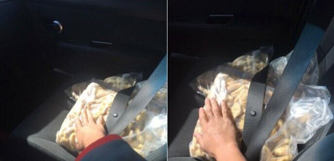 Photos Where Florida Men Lived Up to the Reputation