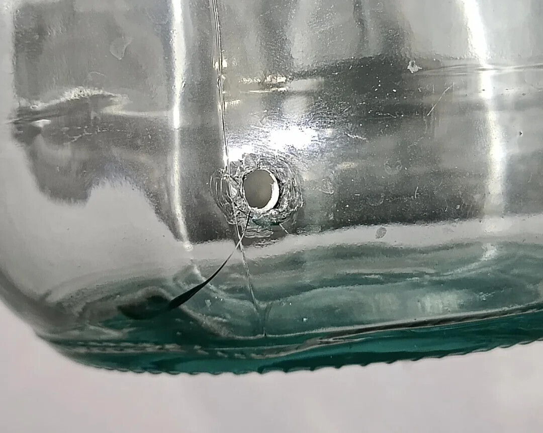 Uncomfortable Pics of Things We'd Rather Not Run Into