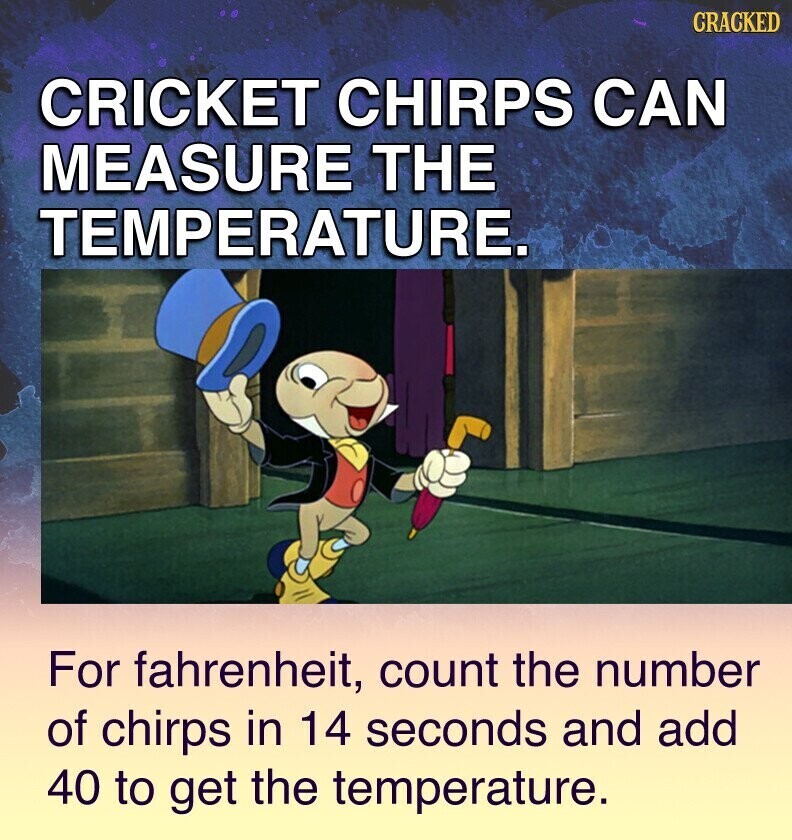 CRACKED CRICKET CHIRPS CAN MEASURE THE TEMPERATURE. For fahrenheit, count the number of chirps in 14 seconds and add 40 to get the temperature.