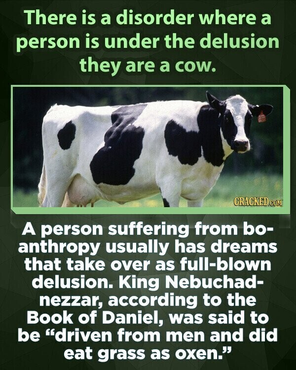 There is a disorder where a person is under the delusion they are a cow. GRACKED.COM A person suffering from bo- anthropy usually has dreams that take over as full-blown delusion. King Nebuchad- nezzar, according to the Book of Daniel, was said to be driven from men and did eat grass as oxen.