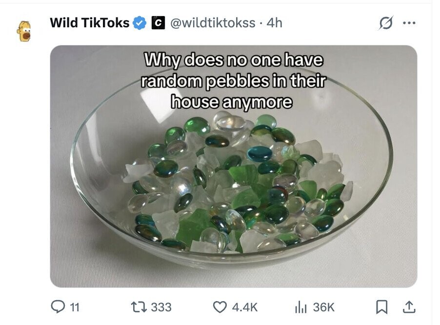 Wild TikToks с @wildtiktokss - 4h ... Why does no one have random pebbles in their house anymore 11 333 4.4K del 36K