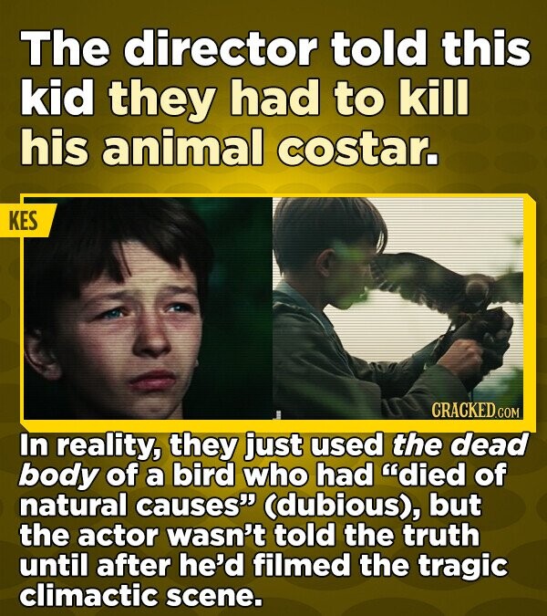 The director told this kid they had to kill his animal costar. KES CRACKED.COM In reality, they just used the dead body of a bird who had died of natural causes (dubious), but the actor wasn't told the truth until after he'd filmed the tragic climactic scene.