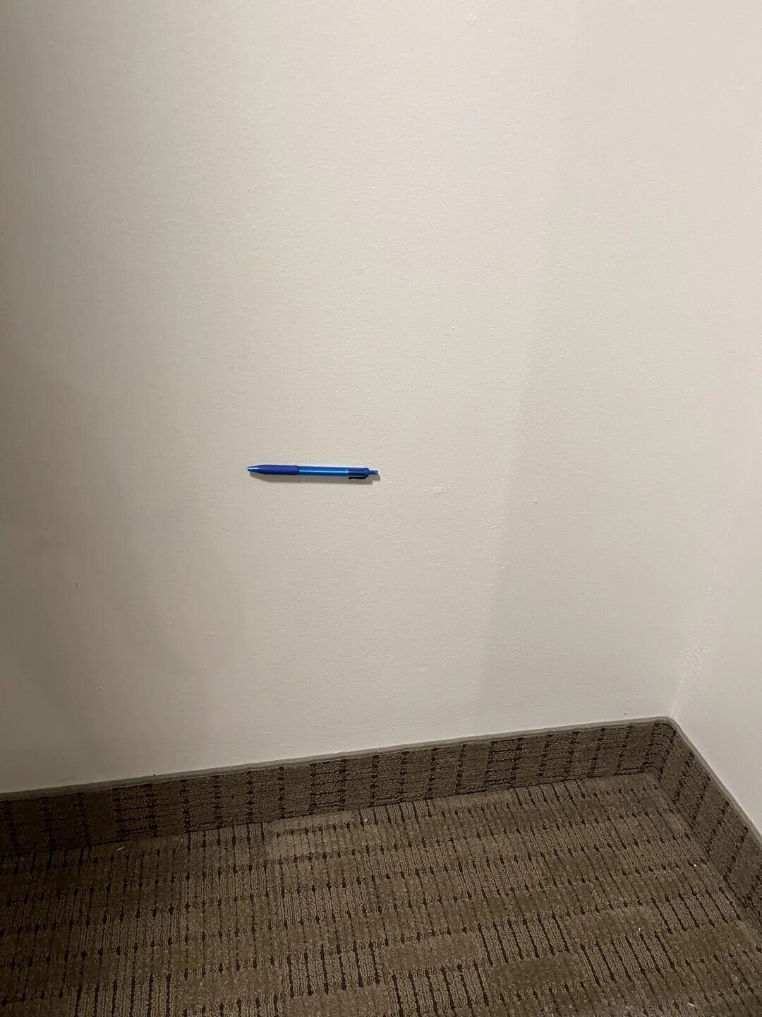 Uncomfortable Pics of Things We'd Rather Not Run Into