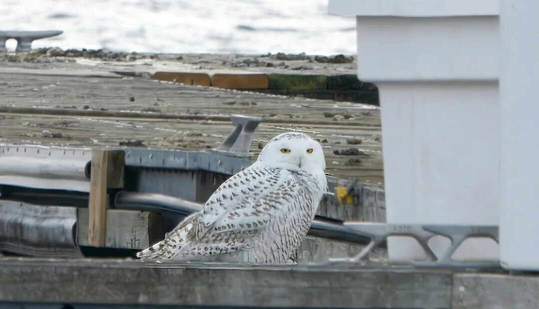 20 of This Week's Most Noteworthy Photos