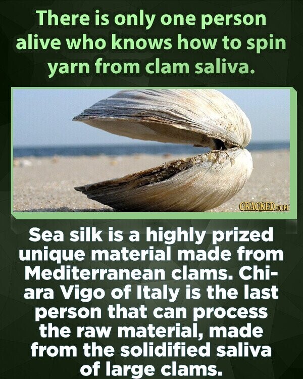 There is only one person alive who knows how to spin yarn from clam saliva. GRACKED.COM Sea silk is a highly prized unique material made from Mediterranean clams. Chi- ara Vigo of Italy is the last person that can process the raw material, made from the solidified saliva of large clams.