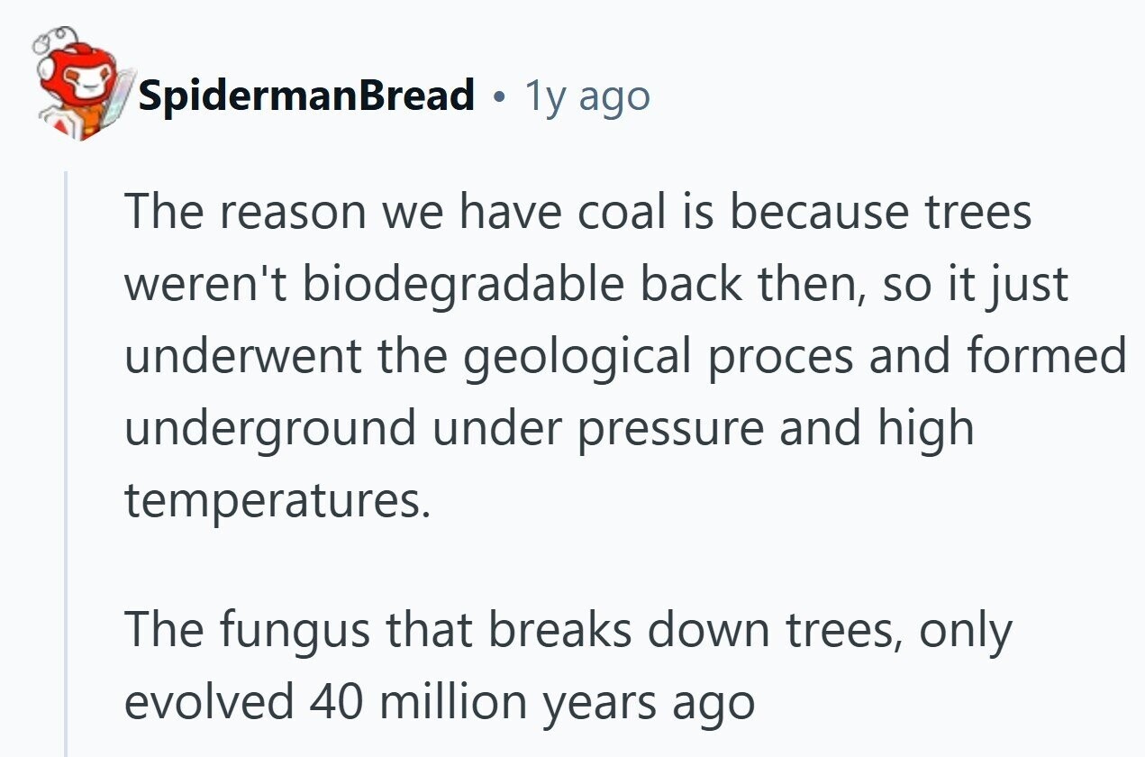 SpidermanBread a 1y ago The reason we have coal is because trees weren't biodegradable back then, so it just underwent the geological proces and formed underground under pressure and high temperatures. The fungus that breaks down trees, only evolved 40 million years ago 