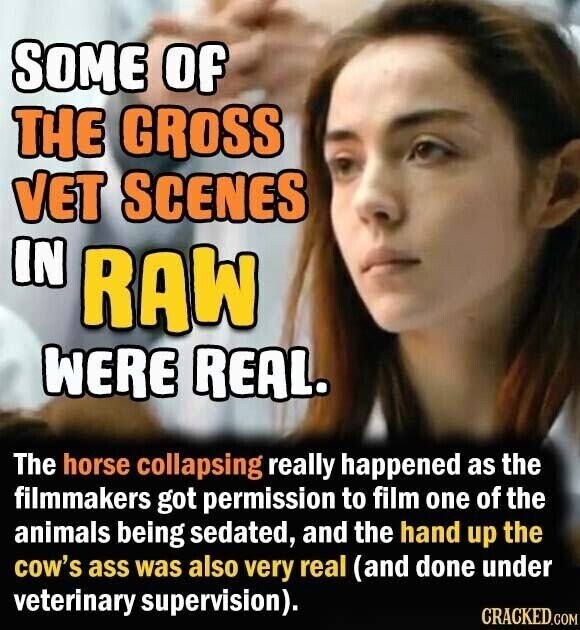 SOME of THE GROSS VET SCENES IN RAW WERE REAL. The horse collapsing really happened as the filmmakers got permission to film one of the animals being sedated, and the hand up the cow's ass was also very real (and done under veterinary supervision). CRACKED.COM