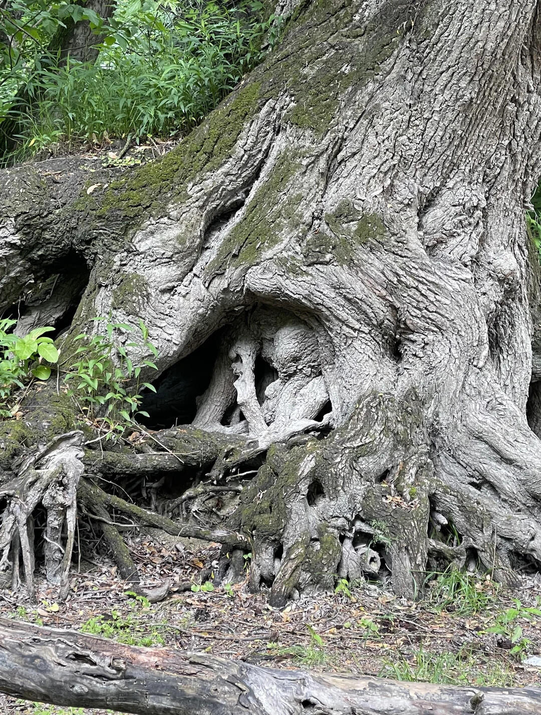 Uncomfortable Pics of Things We'd Rather Not Run Into