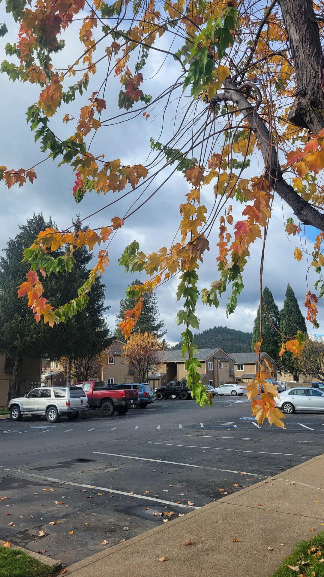 Real World Glitches Happening Right on Camera