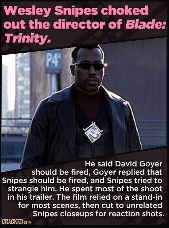 Wesley Snipes choked out the director of Blade: Trinity. P4 Не said David Goyer should be fired, Goyer replied that Snipes should be fired, and Snipes tried to strangle him. Не spent most of the shoot in his trailer. The film relied on a stand-in for most scenes, then cut to unrelated Snipes closeups for reaction shots. CRACKED.COM
