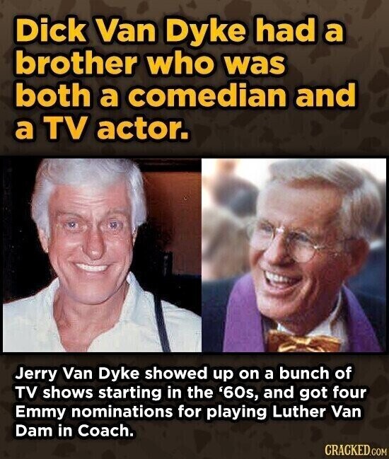 Dick Van Dyke had a brother who was both a comedian and a TV actor. Jerry Van Dyke showed up on a bunch of TV shows starting in the '60s, and got four Emmy nominations for playing Luther Van Dam in Coach. CRACKED.COM