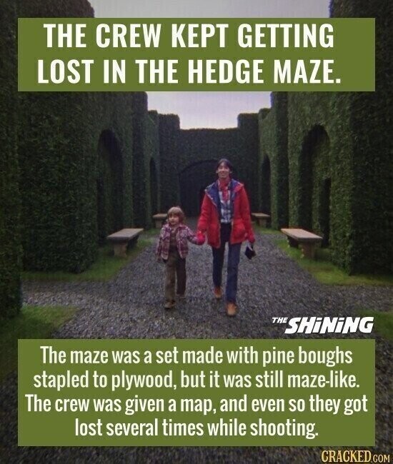 THE CREW KEPT GETTING LOST IN THE HEDGE MAZE. THE SHiNiNG The maze was a set made with pine boughs stapled to plywood, but it was still maze-like. The crew was given a map, and even so they got lost several times while shooting. CRACKED.COM